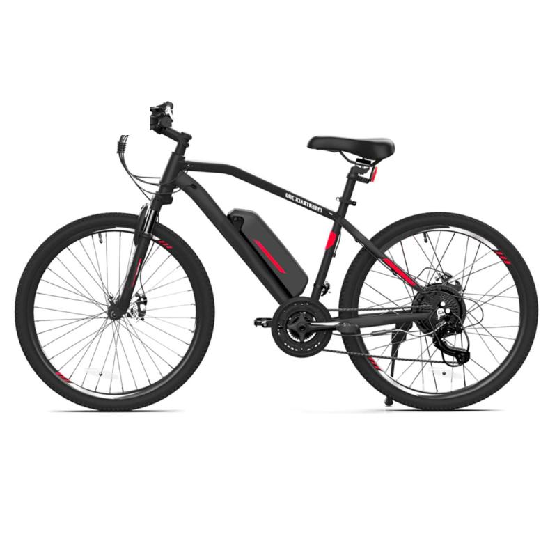 City Electric Bikes, or Electric City Bikes